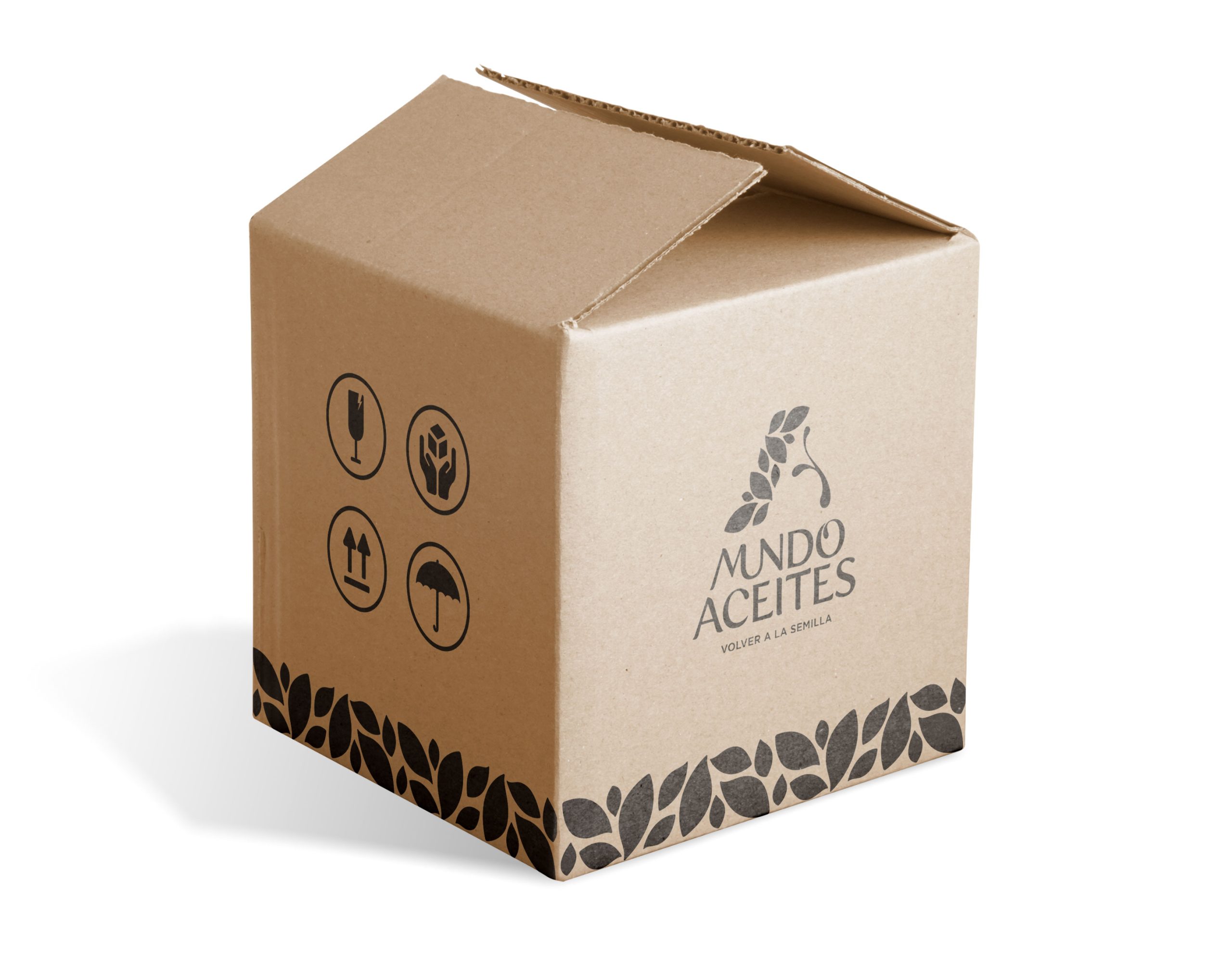 caja-mundoaceites
